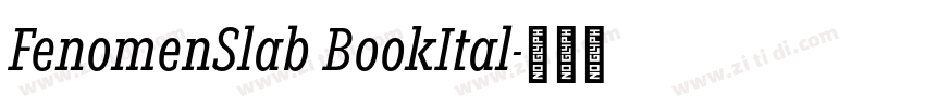 FenomenSlab BookItal字体转换